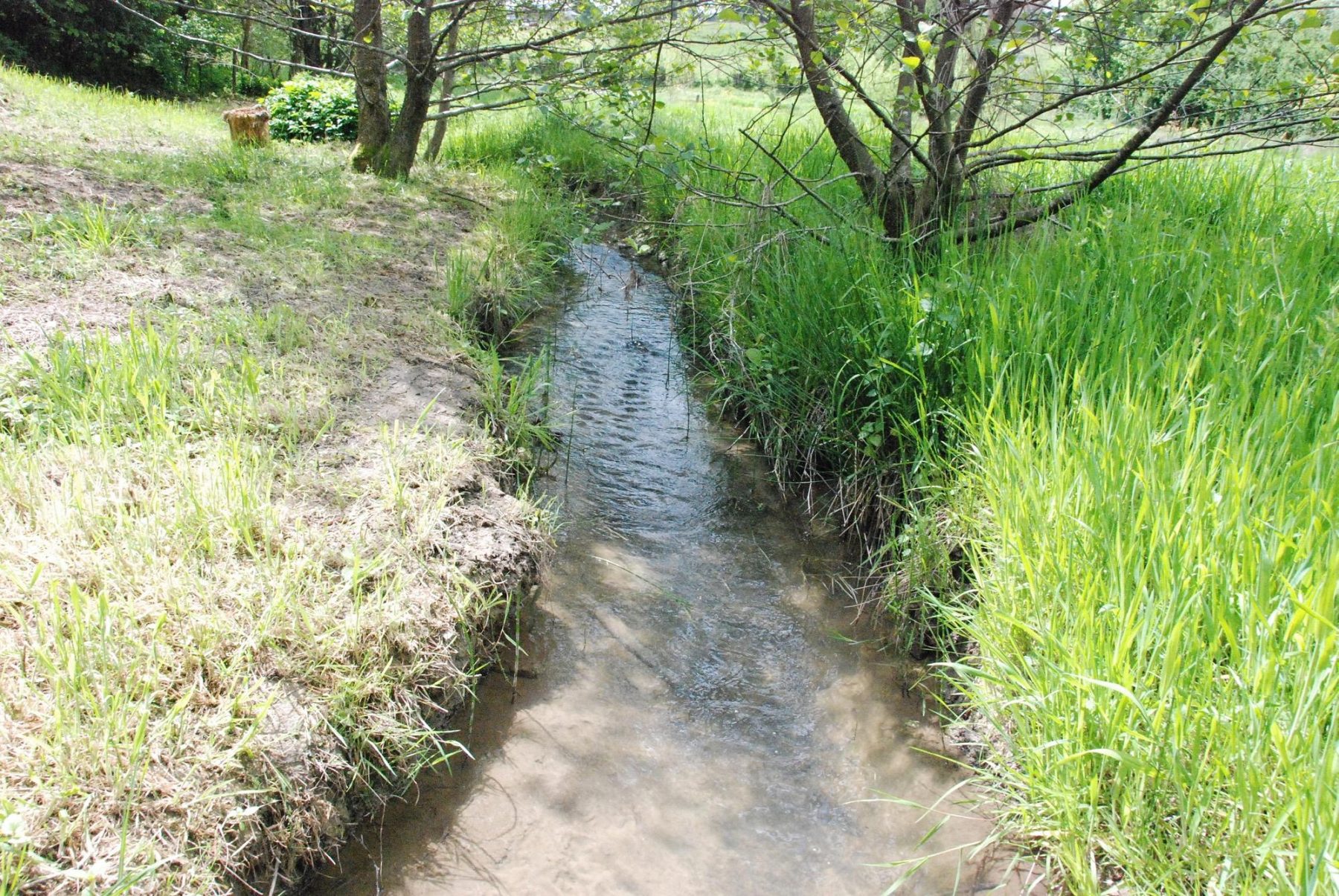 Le ruisseau au bout du jardin