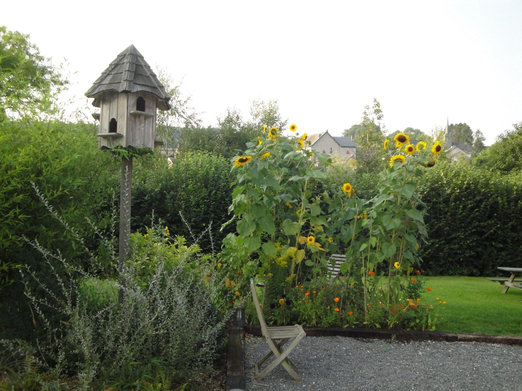Le jardin